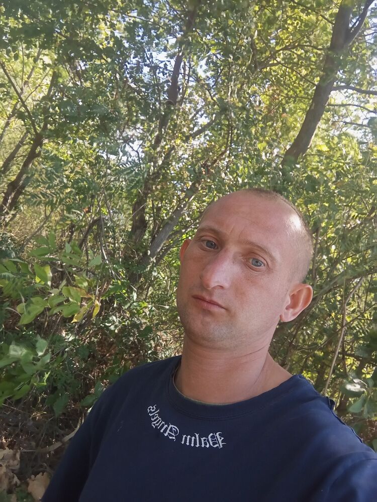  53600499  , 33 ,    