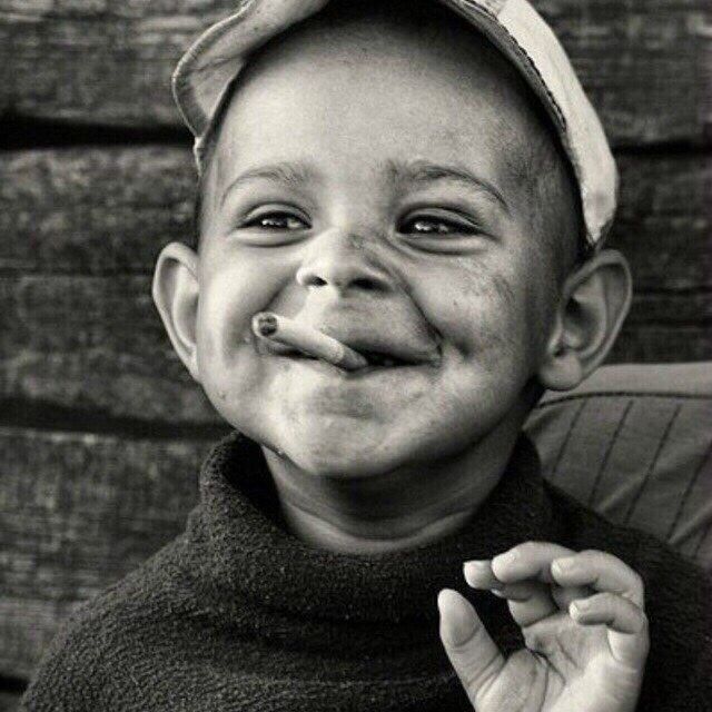 ���� 10187439 ������� Surik, 33 ����, ���� ���������� � ��������