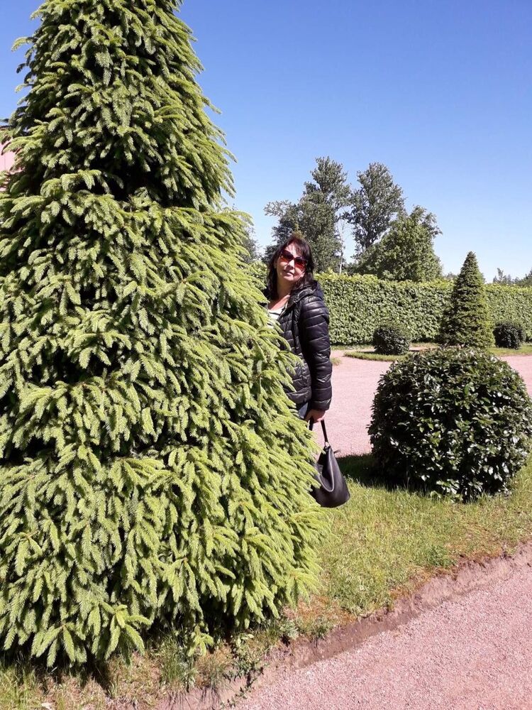 ���������� �����-���������, ���� ������� �������, 55 ���, ������������ ��� ������, ����� � ���������