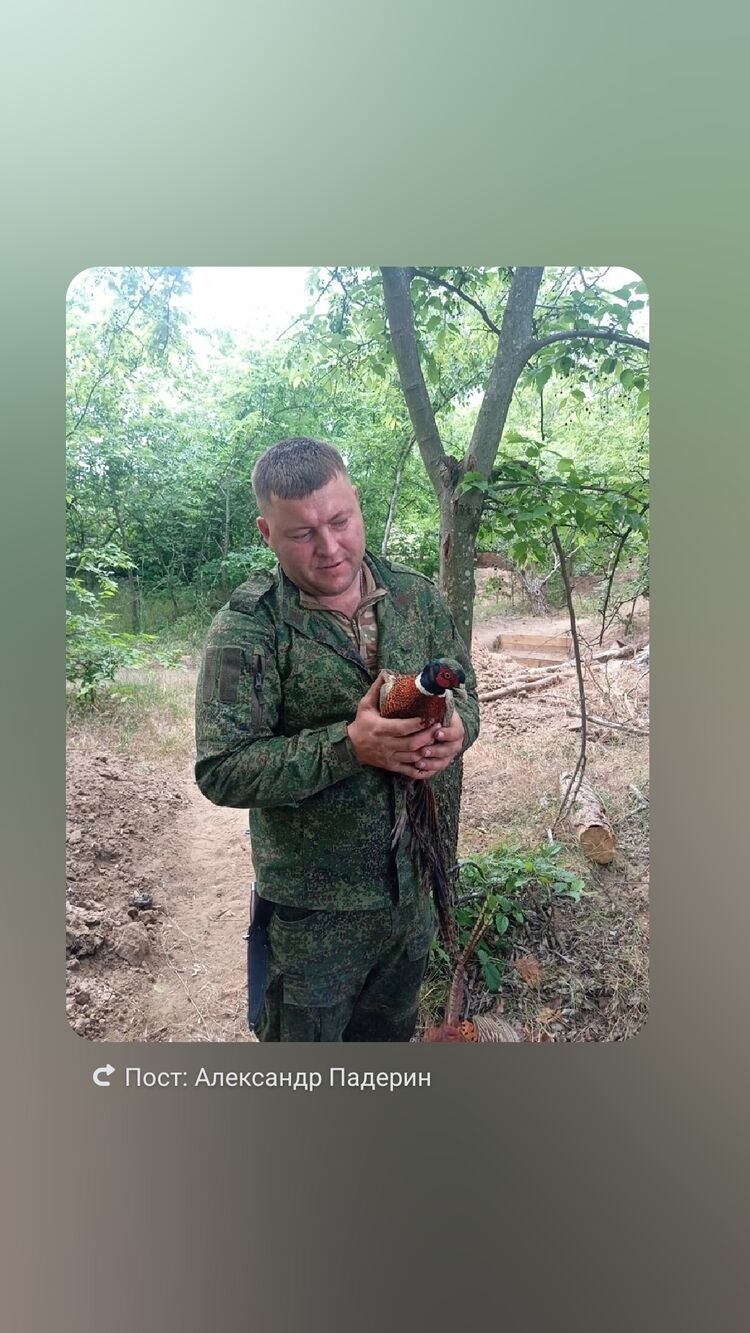 ���� 55935109 ������� ���������, 34 ����, ���� ���������� � ��������