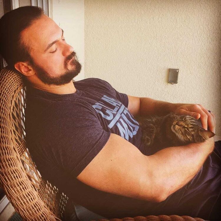 ���������� ������, ���� ������� ������, 37 ���, ������������ ��� ������, ����� � ���������, ���������