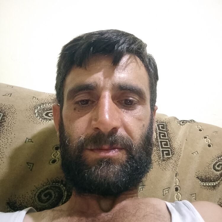  53955269  Hamlet, 38 ,    