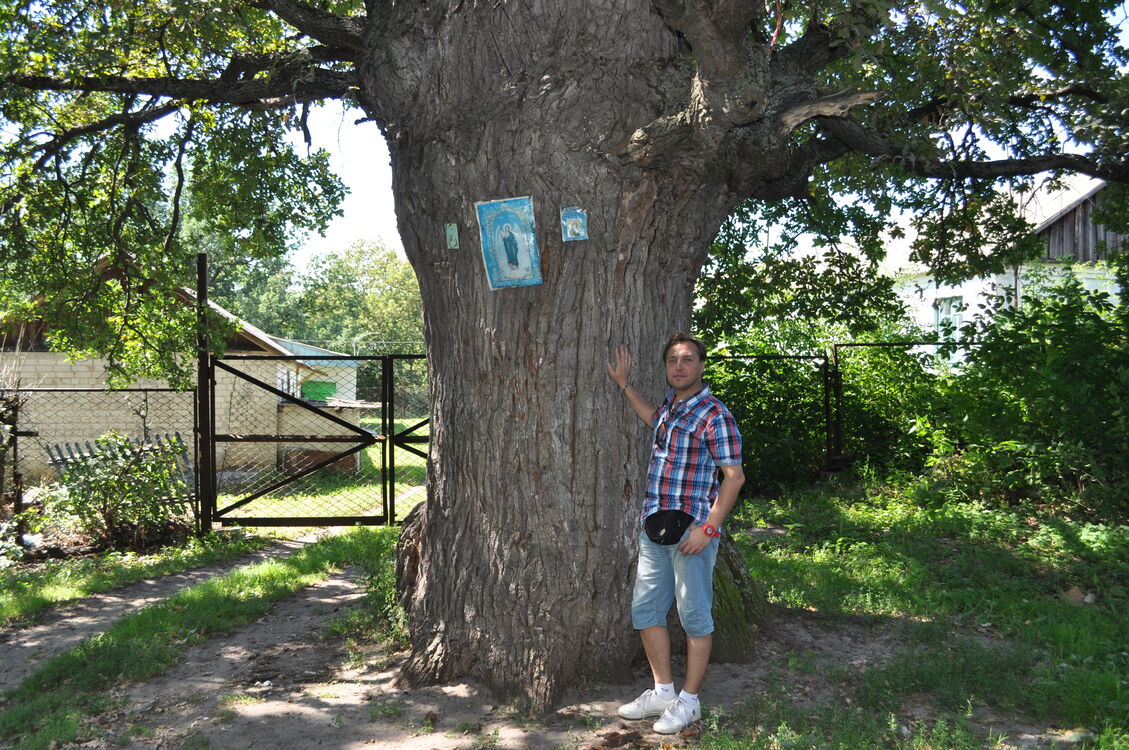  ,   , 48 ,   c 