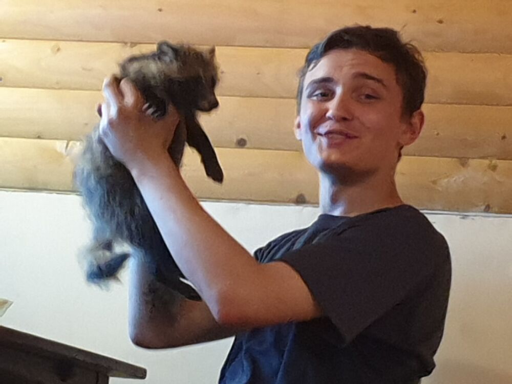 ���������� ���������, ���� ����� �����, 24 ����, ������������ ��� ������, ����� � ���������, c�������� ���������, ���������