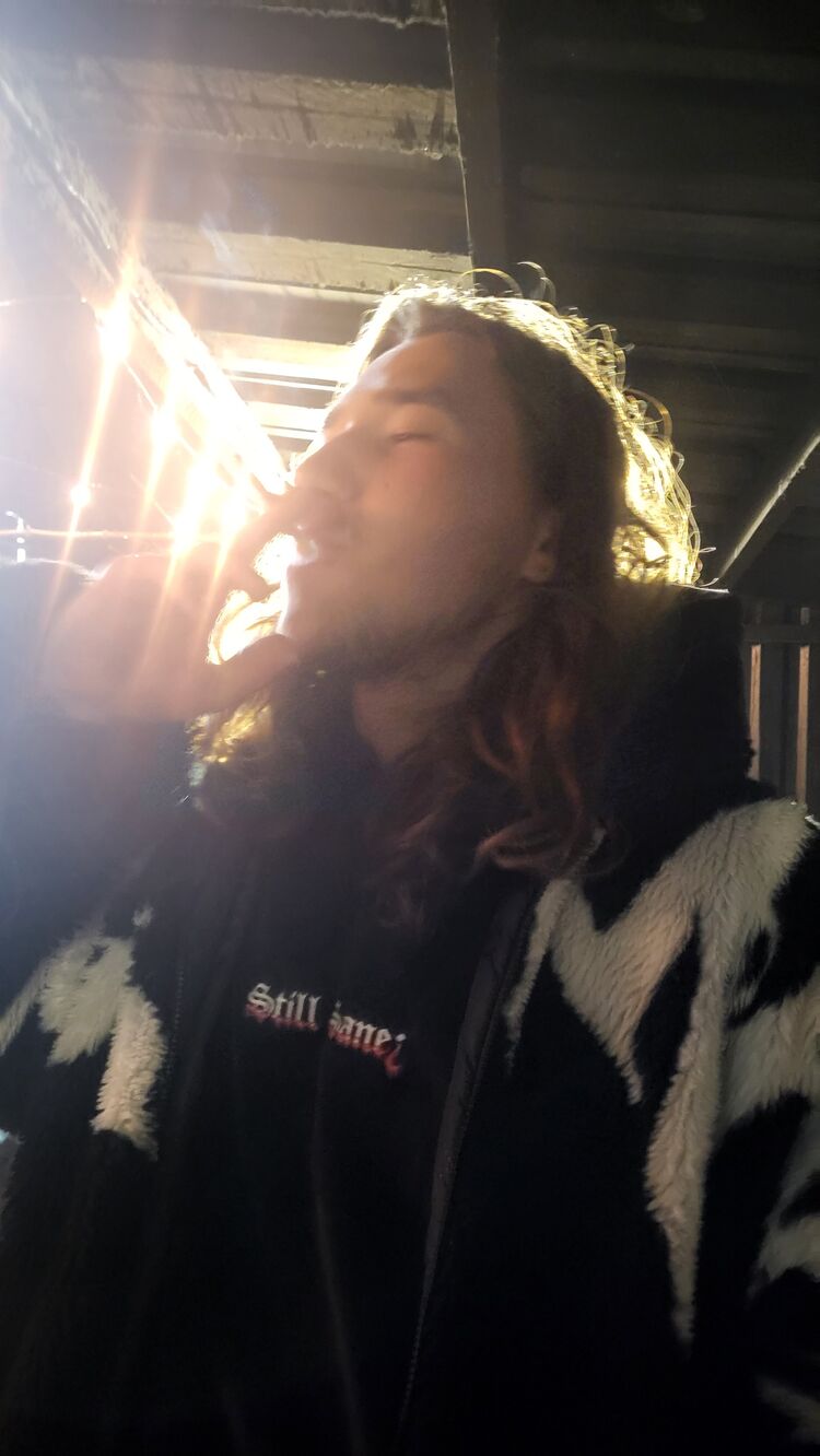 ���� 53336169 ����� �����, 22 ����, ���� ���������� � ������