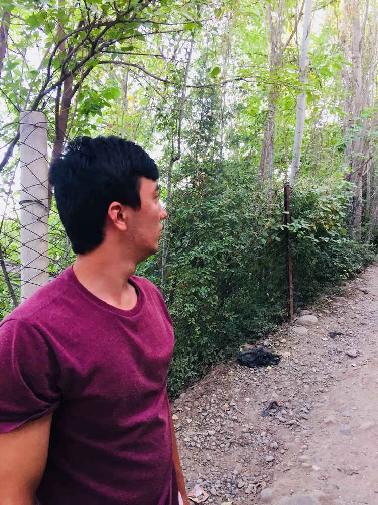 ���������� �������, ���� ������� Anzor, 31 ���, ������������ ��� ������, ����� � ���������, c�������� ���������