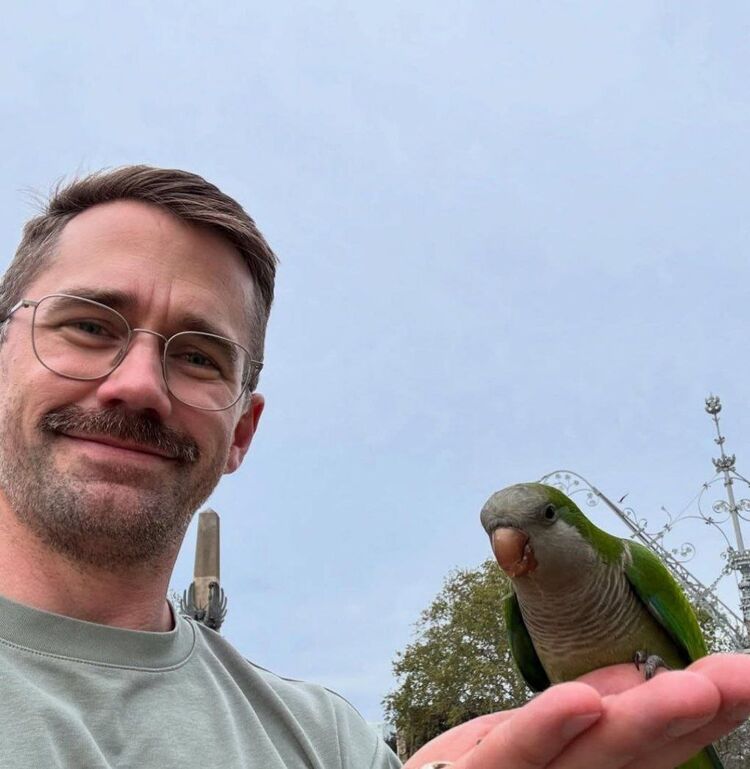 ���� 52147499 ������� �������, 33 ����, ���� ���������� � ��������������