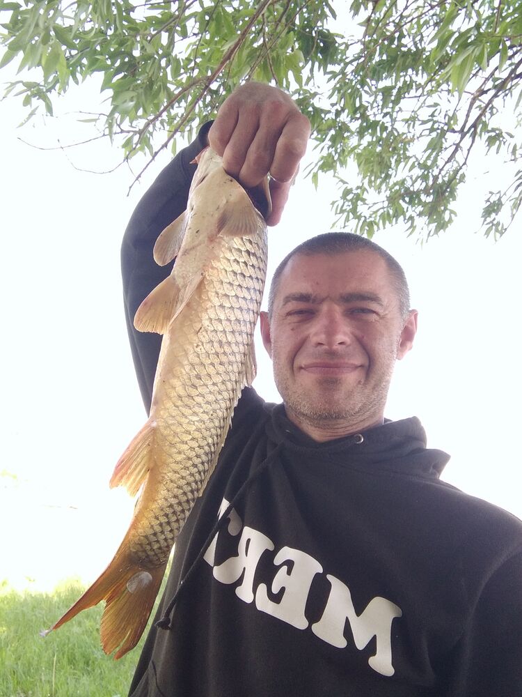 ���������� ���������, ���� ������� �����, 42 ����, ������������ ��� ������, ����� � ���������