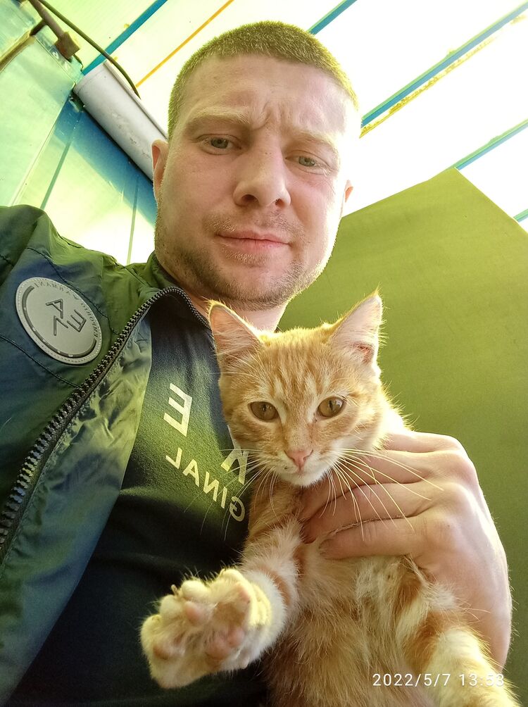 ���� 26686899 ������� �����, 34 ����, ���� ���������� � ����������