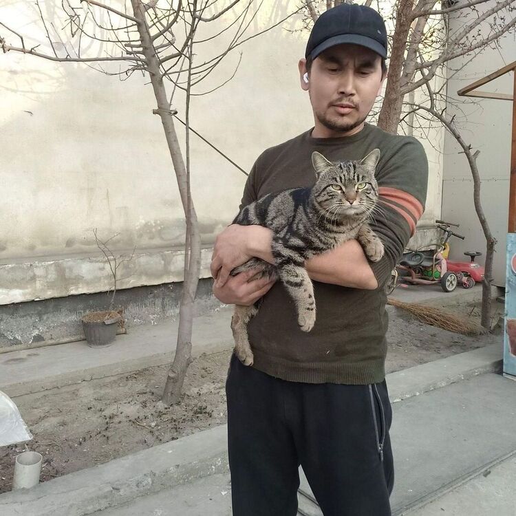  ,   , 32 ,   ,   , c , 