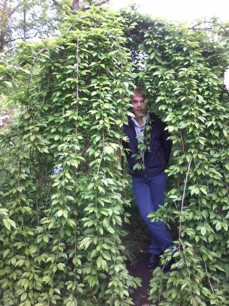 ���� 18195749 ������� �������, 36 ���, ���� ���������� � ������������