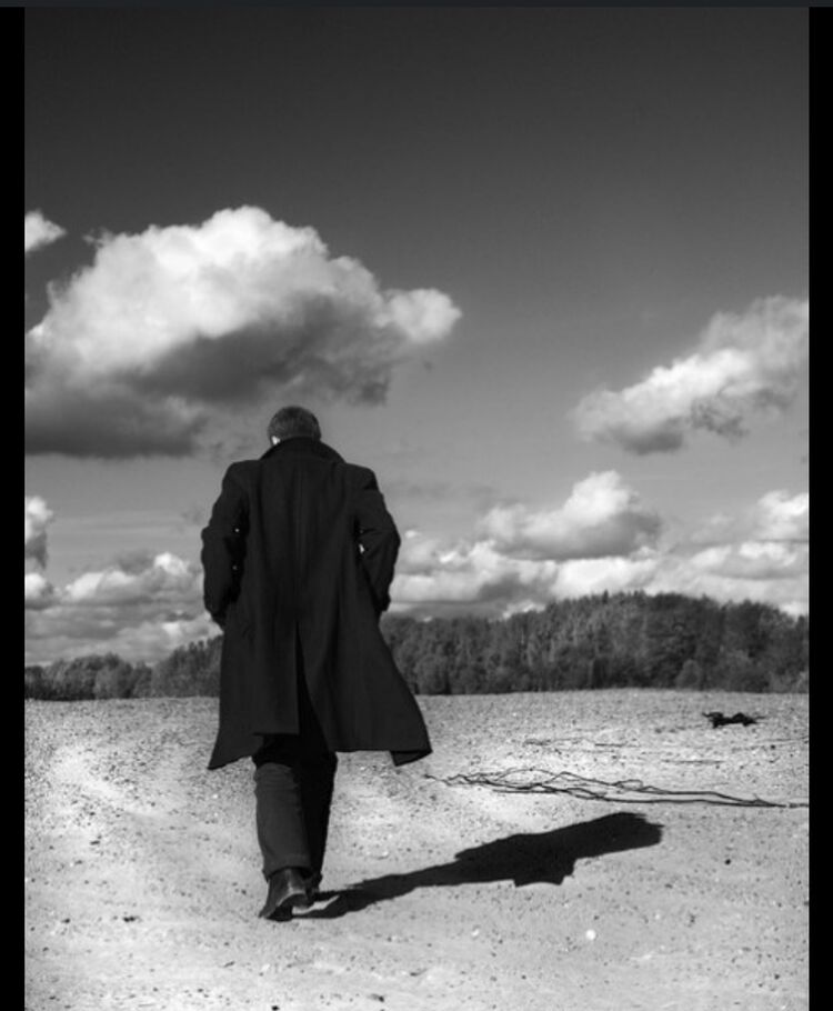 ���� 31987039 ������� �����, 29 ���, ���� ���������� � �������