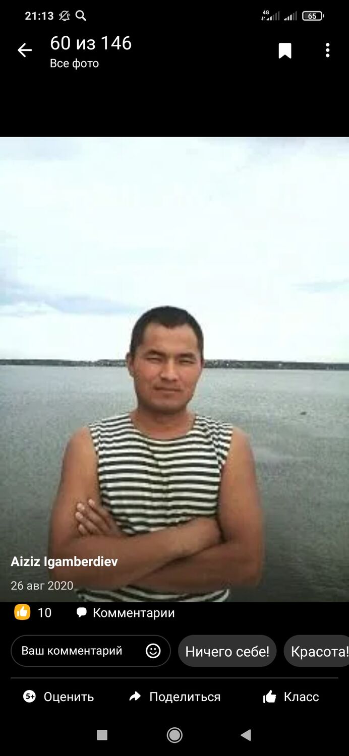 ���� 31167859 ������� ����, 36 ���, ���� ���������� � ������