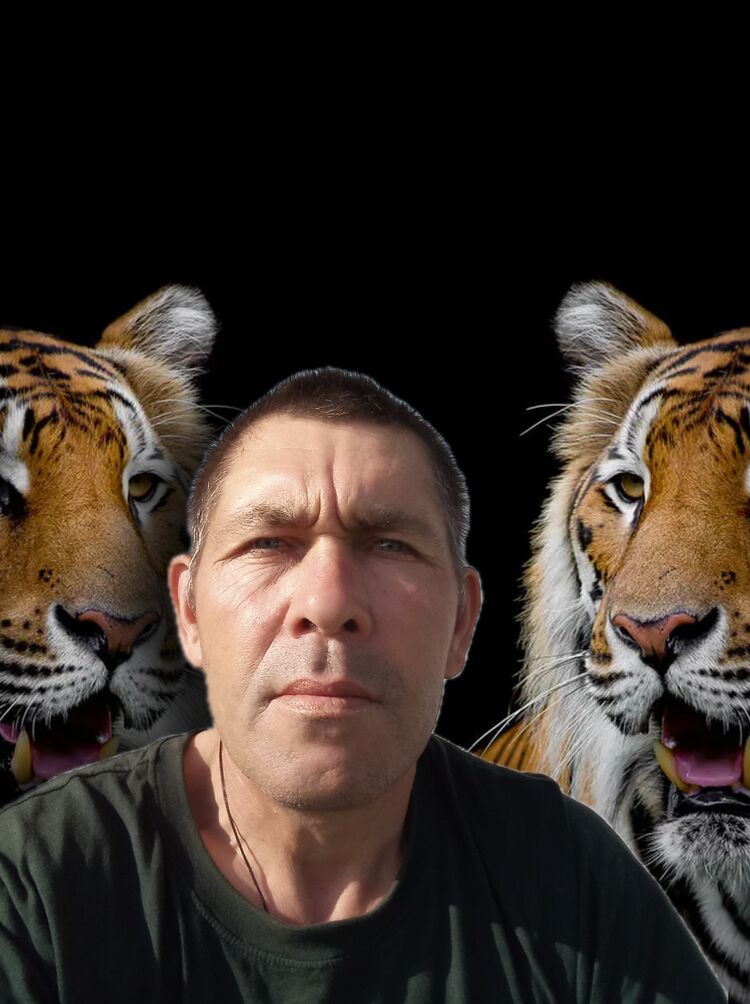 ���������� ���������, ���� ������� �������, 48 ���, ������������ ��� ������, ����� � ���������, c�������� ���������, ���������