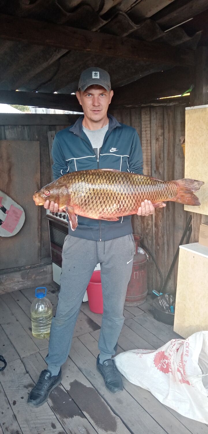 ���� 39941519 ������� ������, 35 ���, ���� ���������� � �����������