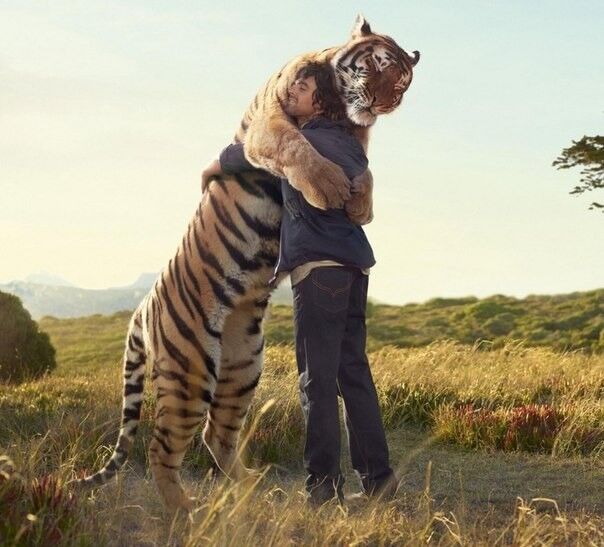 ���� 4640069 ������� �������, 37 ���, ���� ���������� � ������