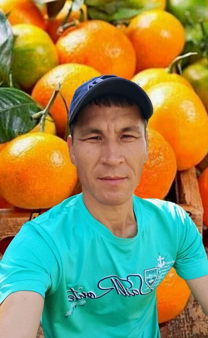  -,   , 40 ,   ,   