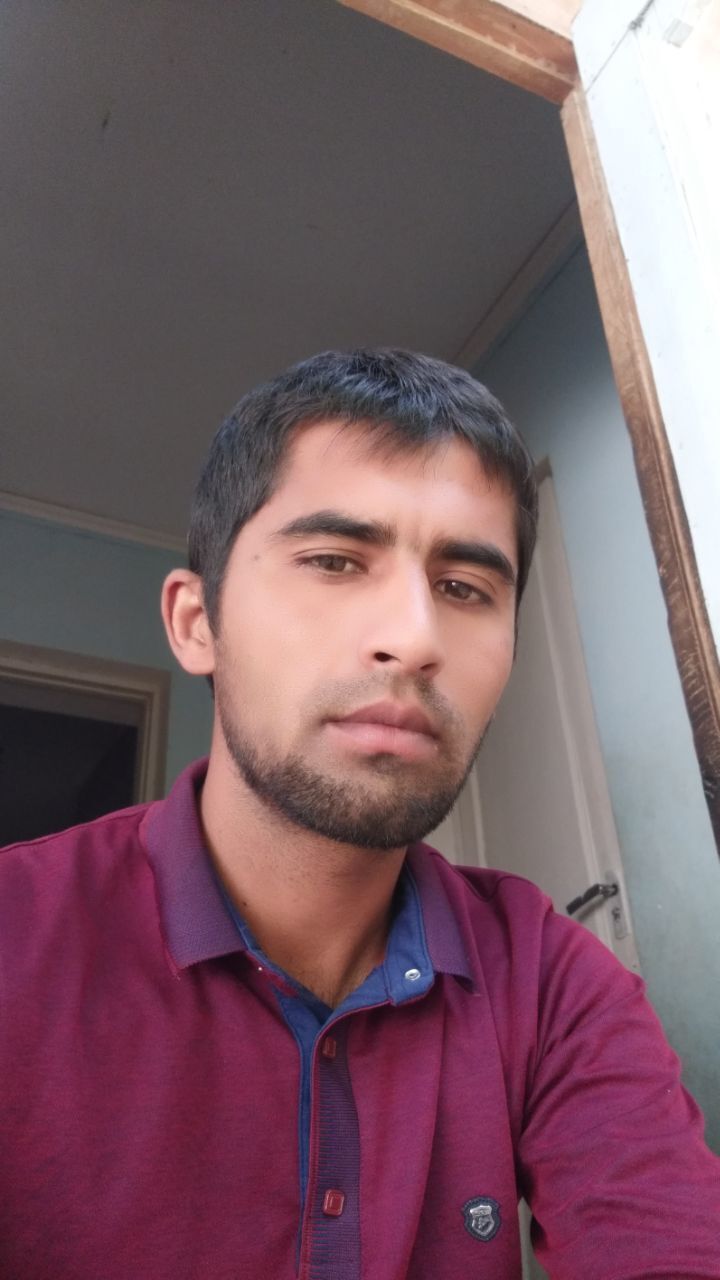  31574359  , 33 ,    