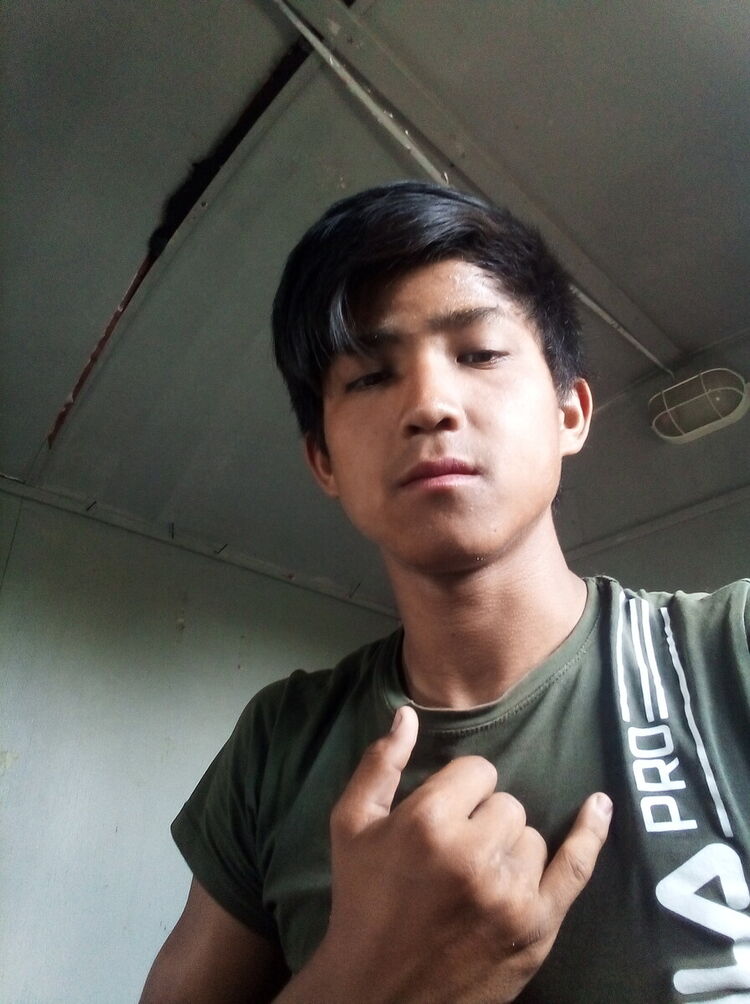  20446609  , 23 ,    