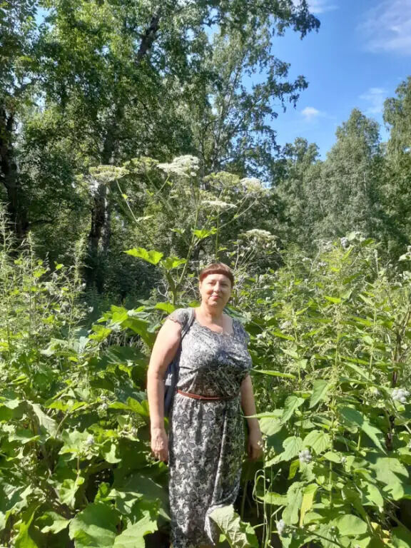 ���������� ����������, ���� ������� ���������, 59 ���, ������������ ��� ������, ����� � ���������, c�������� ���������, ���������