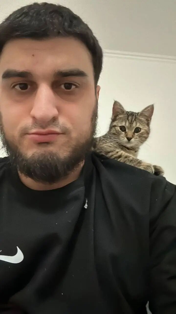 ���� 54138859 ������� ������, 99 ���, ���� ���������� � ������