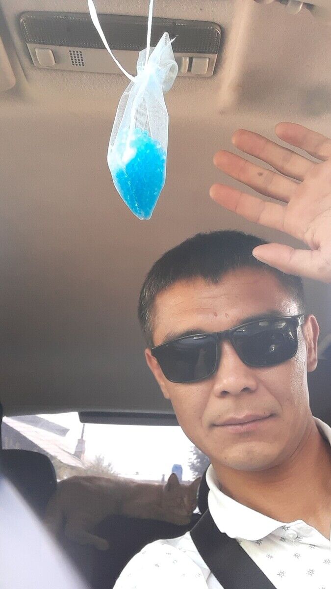 ���� 20384399 ������� ����, 36 ���, ���� ���������� � �����