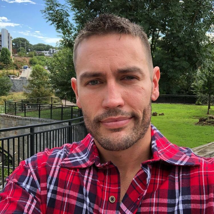 ���� 15759399 ������� Toste, 41 ���, ���� ���������� � �������