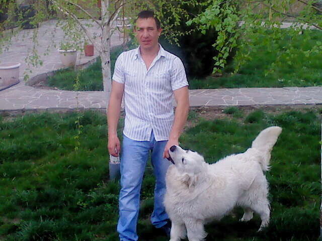 ���� 53746669 ������� �������, 43 ����, ���� ���������� � ����-��������