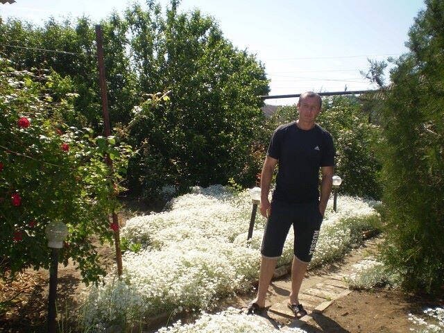 ���� 26907229 ������� �����, 42 ����, ���� ���������� � ��������