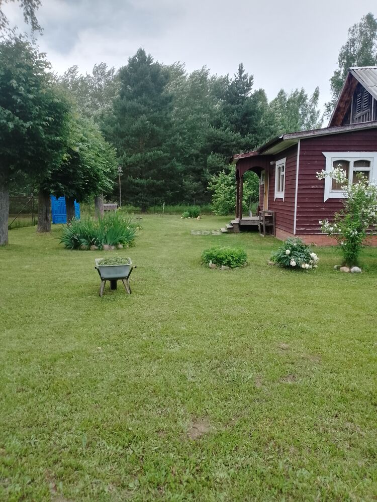  45774729  , 51 ,    