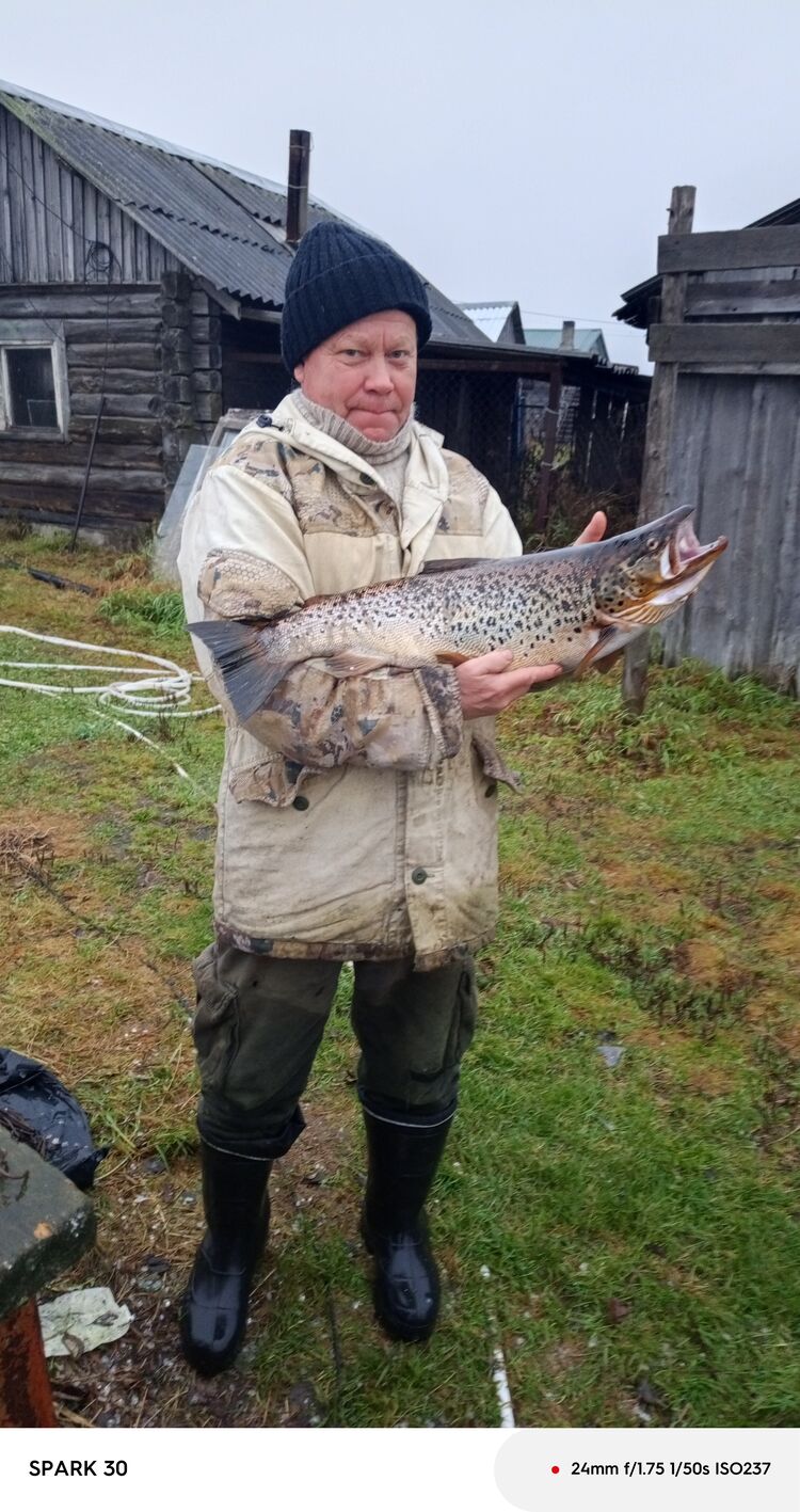 ���� 55380459 ������� ������, 54 ����, ���� ���������� � ���������