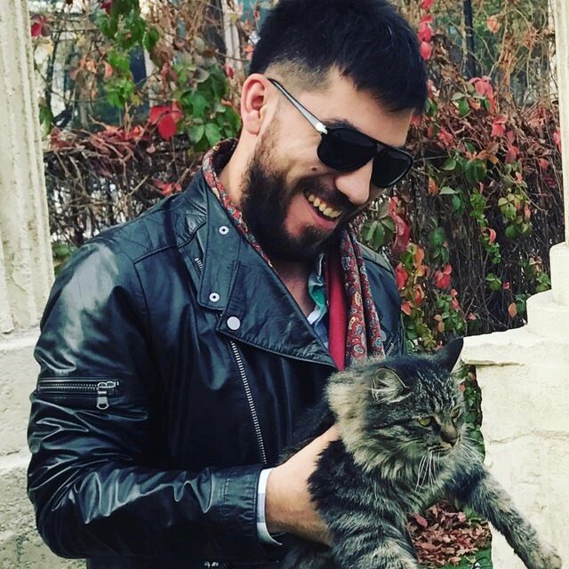 ���� 33876779 ������� �����, 31 ���, ���� ���������� � �����