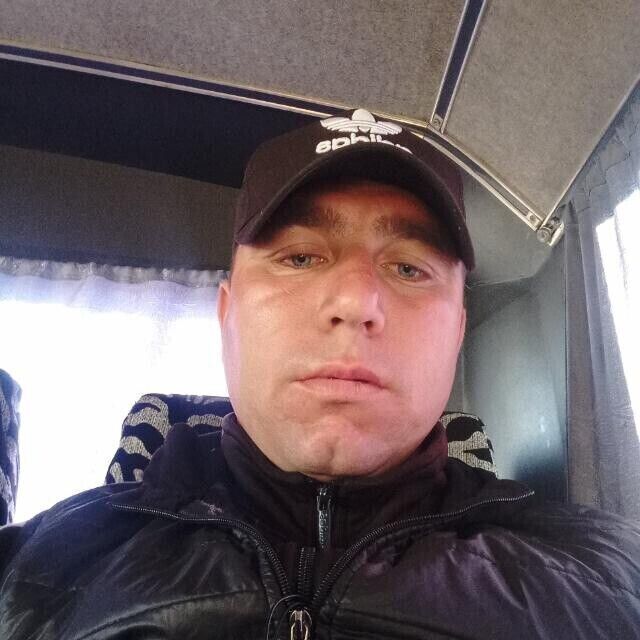  43650039  , 36 ,    