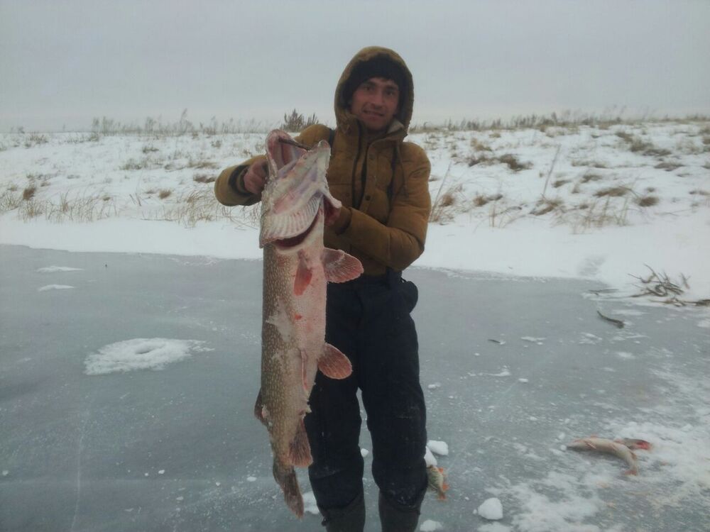 ���������� ��������, ���� ������� �����, 46 ���, ������������ ��� ������, ����� � ���������, c�������� ���������