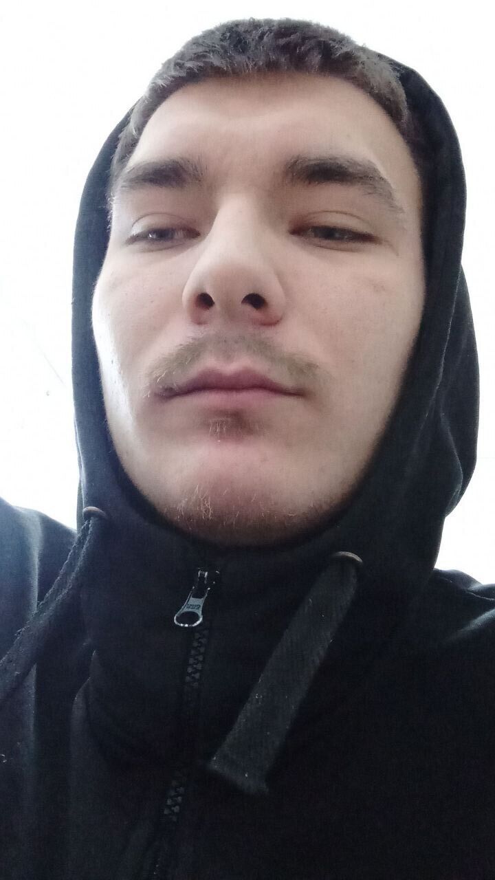  31244569  , 26 ,    