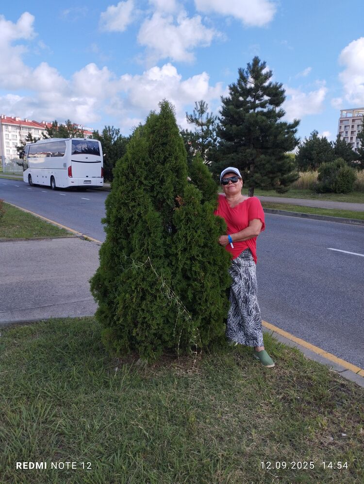 ���������� �����, ���� ������� �������, 64 ����, ������������ ��� ������, ����� � ���������