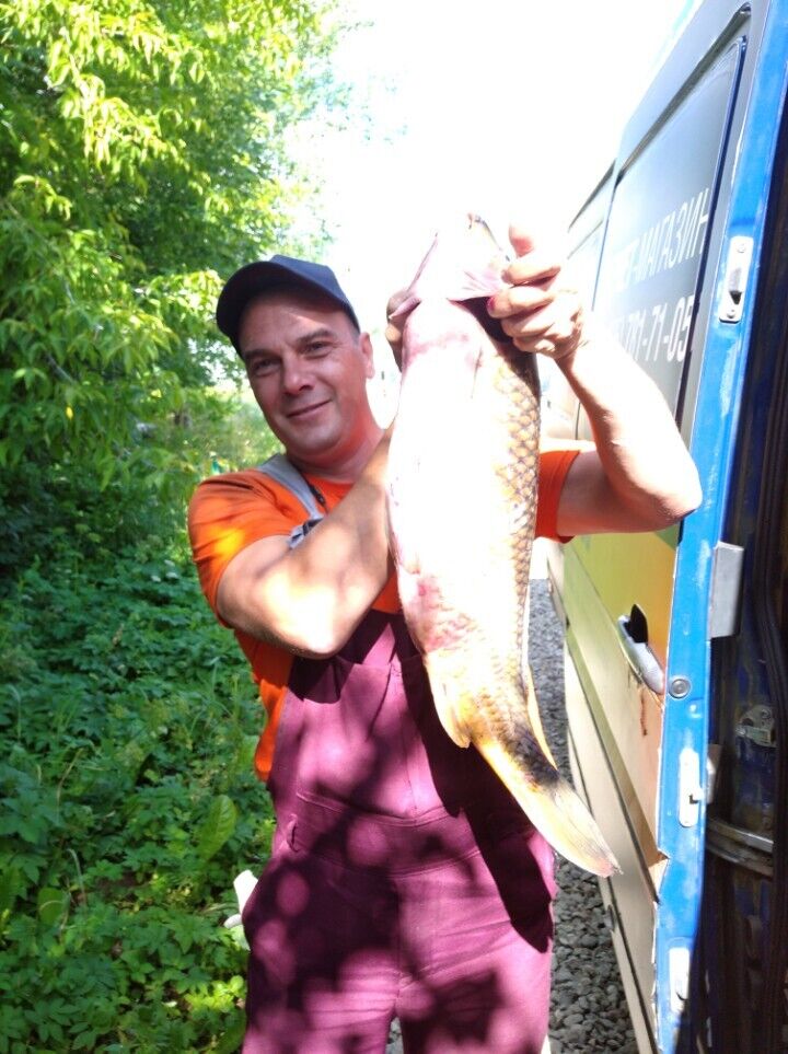 ���� 28273209 ������� ������, 43 ����, ���� ���������� � ������