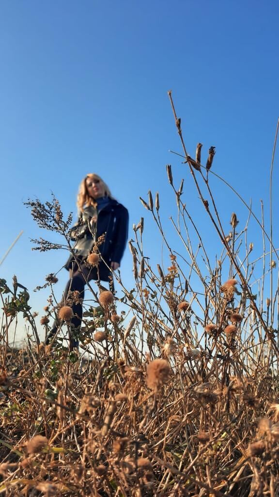 ���� 29198249 ������� �����, 36 ���, ���� ���������� � ������������