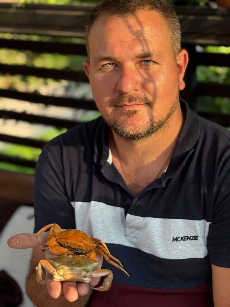 ���� 52387419 ������� ���������, 36 ���, ���� ���������� � ��������