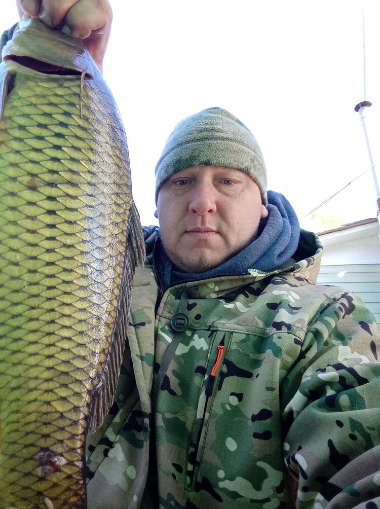 ���� 37839059 ������� �����, 44 ����, ���� ���������� � ������