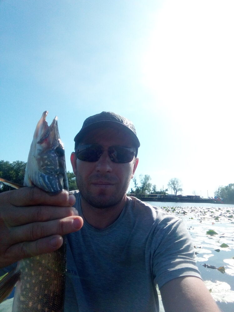 ���� 17440599 ������� ������, 43 ����, ���� ���������� � ���������