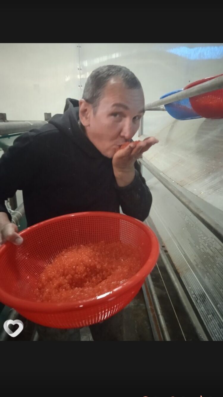 ���� 31380119 ������� ����, 44 ����, ���� ���������� � ������