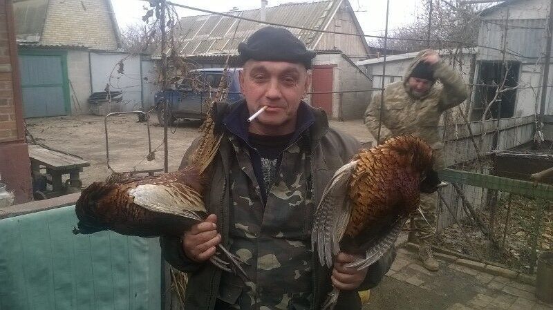  ,   , 57 ,  