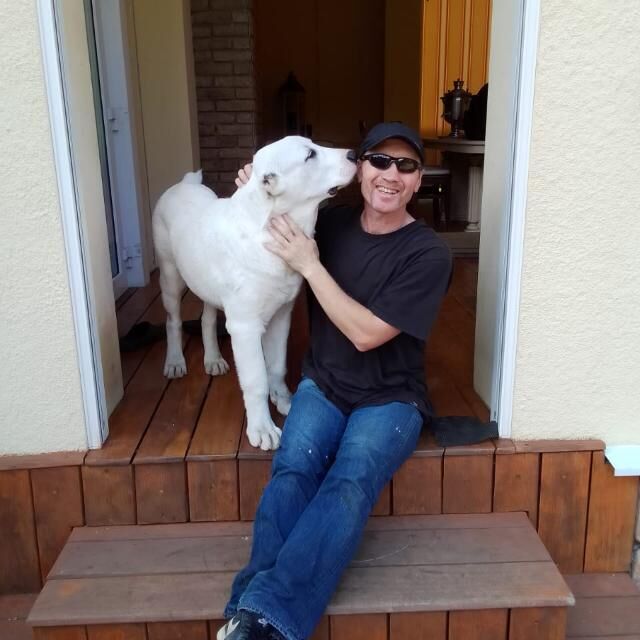 ���������� ������, ���� ������� �������, 53 ����, ������������ ��� ������, ����� � ���������