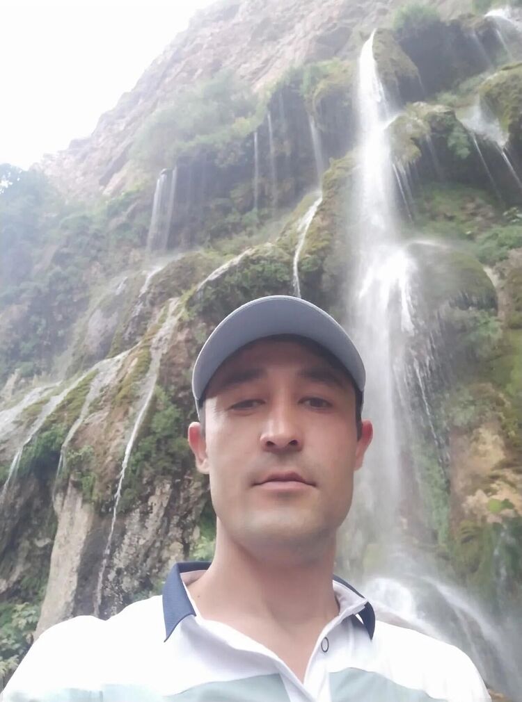  42209069  , 33 ,    