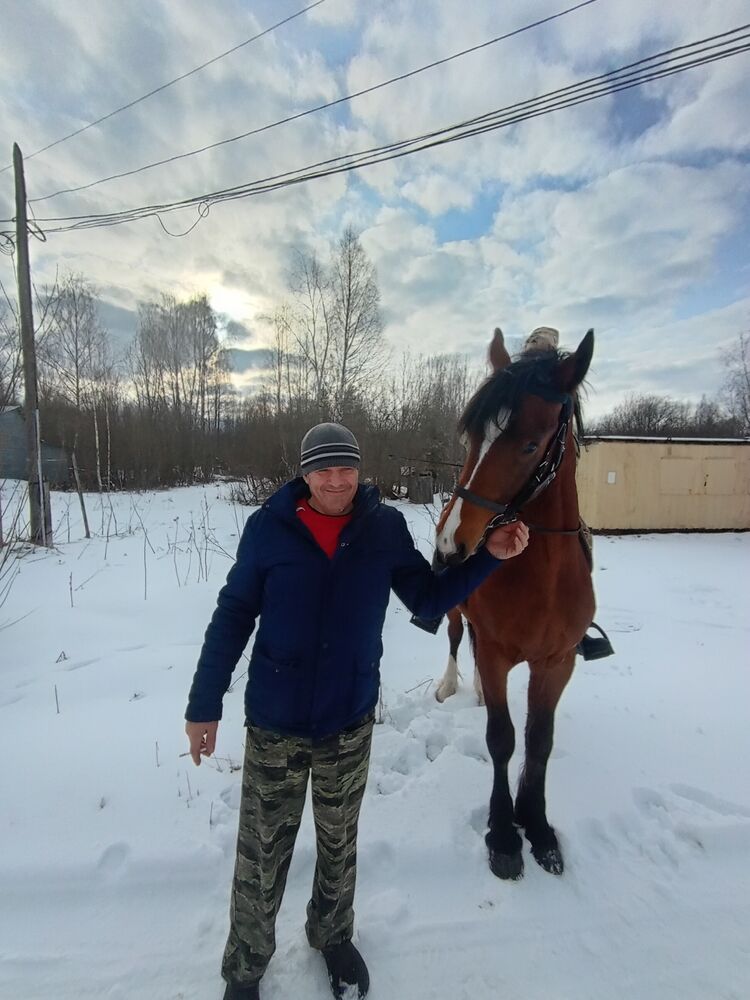 ���� 56512509 ������� �����, 47 ���, ���� ���������� � ��������