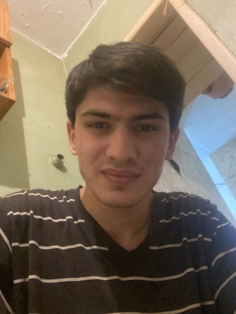  33652879  , 23 ,    -