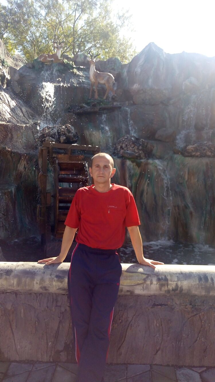  53737749  , 49 ,    -