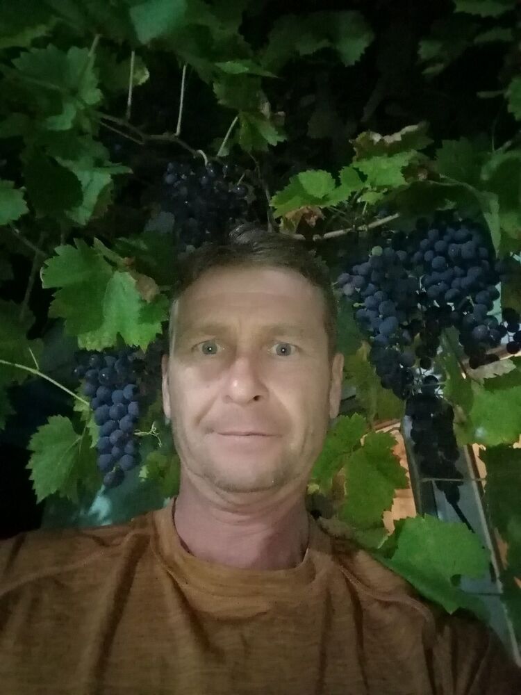 ���� 18364639 ������� �������, 53 ����, ���� ���������� � ����������