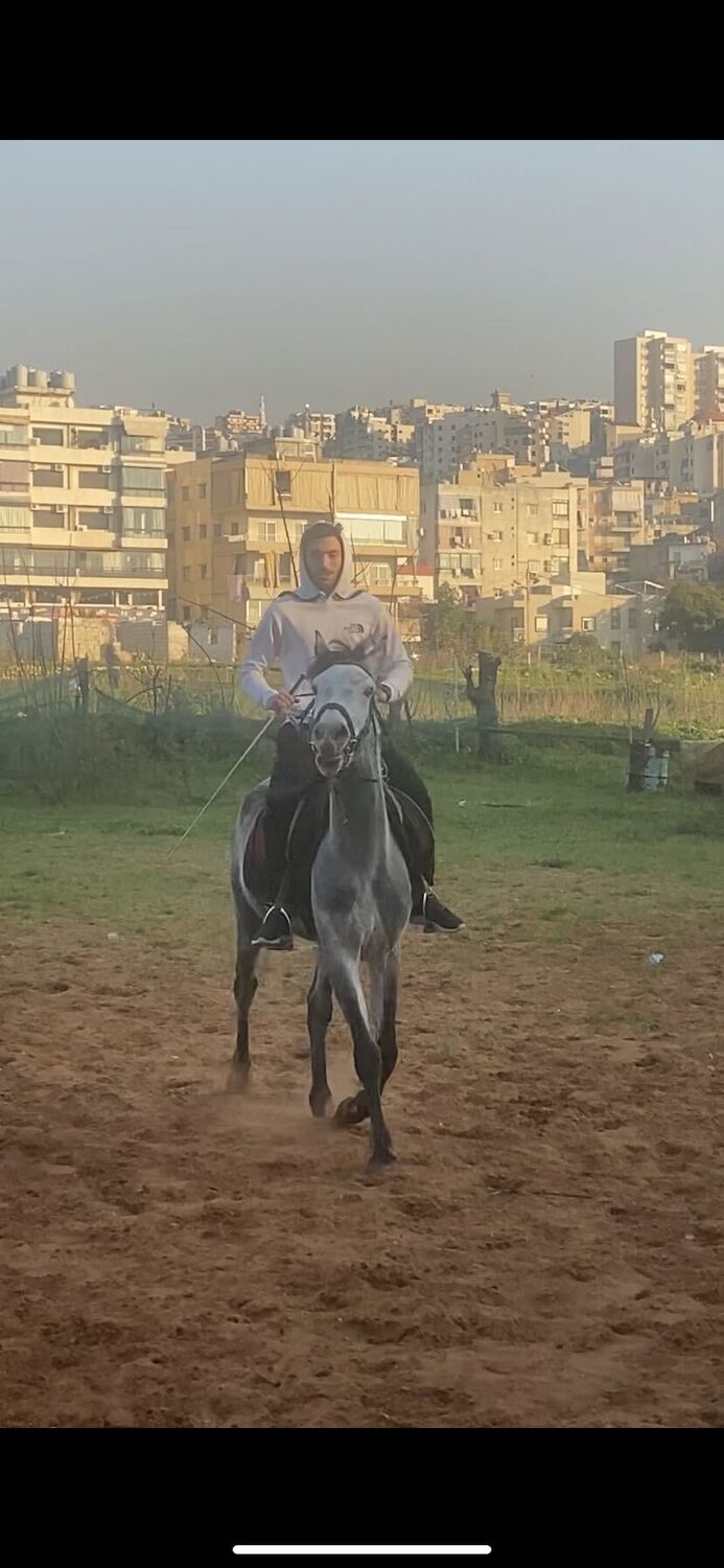  Beirut,   Hadi, 22 ,   ,   , c 